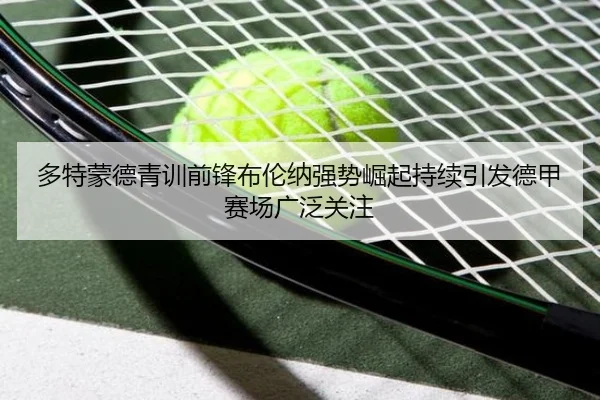 多特蒙德青训前锋布伦纳强势崛起持续引发德甲赛场广泛关注