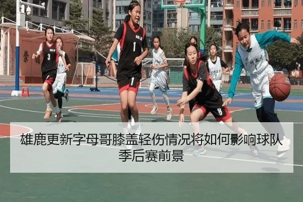 雄鹿更新字母哥膝盖轻伤情况将如何影响球队季后赛前景